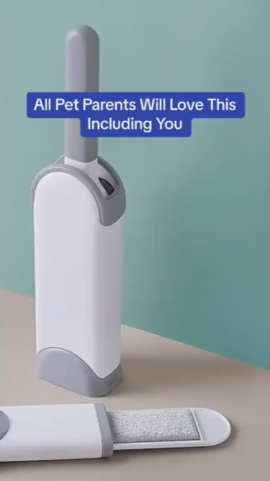 1.mp4